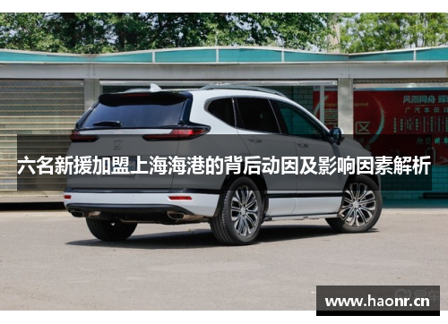 六名新援加盟上海海港的背后动因及影响因素解析