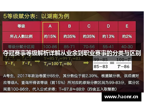 夺冠赛事等级解析详解从业余到职业赛事的分类与区别