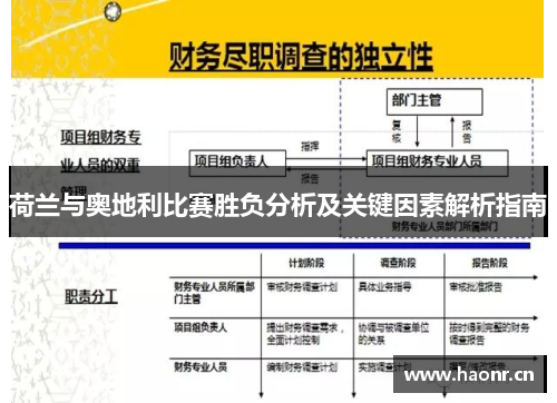 荷兰与奥地利比赛胜负分析及关键因素解析指南