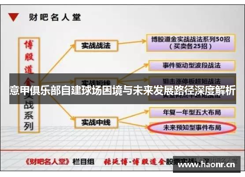意甲俱乐部自建球场困境与未来发展路径深度解析